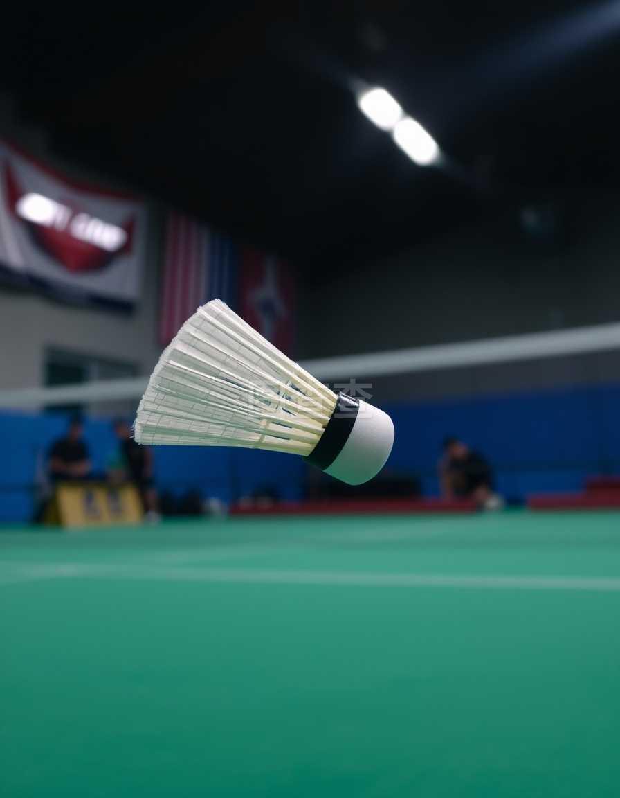 就像莱奥所 就像莱奥所